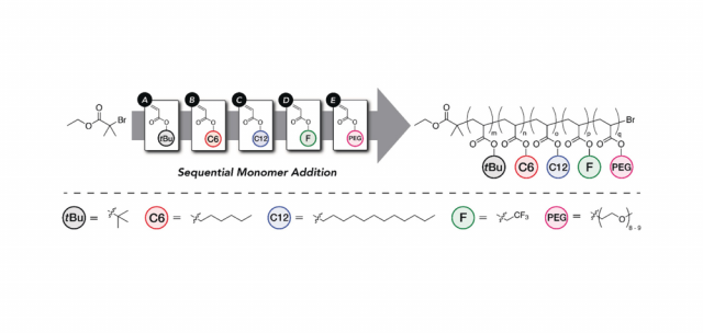 ToC from One-Pot Synthesis of ABCDE Multiblock Copolymers with Hydrophobic, Hydrophilic, and Semi-Fluorinated Segments