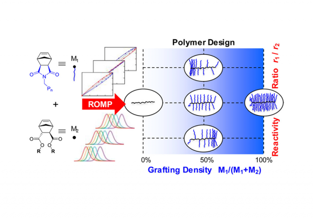 ToC from Control of Grafting Density and Distribution in Graft Polymers by Living Ring-Opening Metathesis Copolymerization