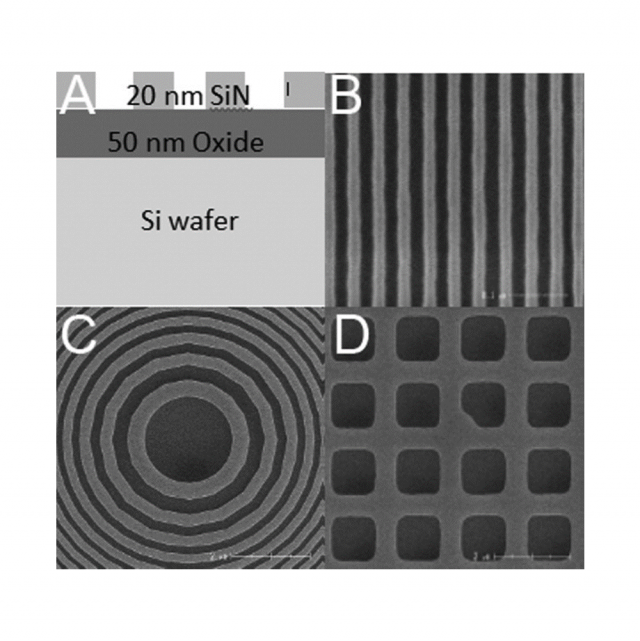 Figure 1 from Synthesis and thin-film orientation of poly(styrene-block-trimethylsilylisoprene)