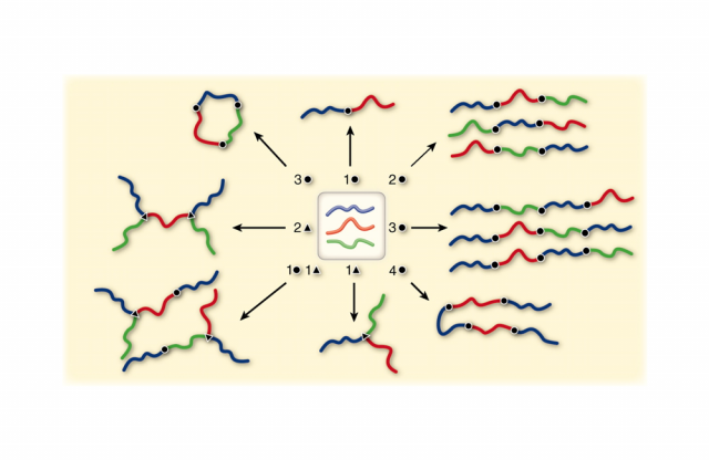Fig 1 from Multiblock Polymers: Panacea or Pandora’s Box?