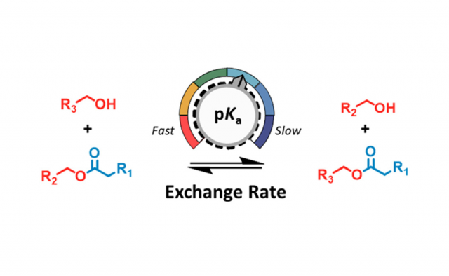 ToC from Brønsted-Acid-Catalyzed Exchange in Polyester Dynamic Covalent Networks