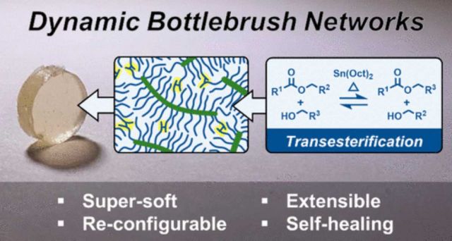 Dynamic Bottlebrush Polymer Networks: Self-Healing in Super-Soft Materials.