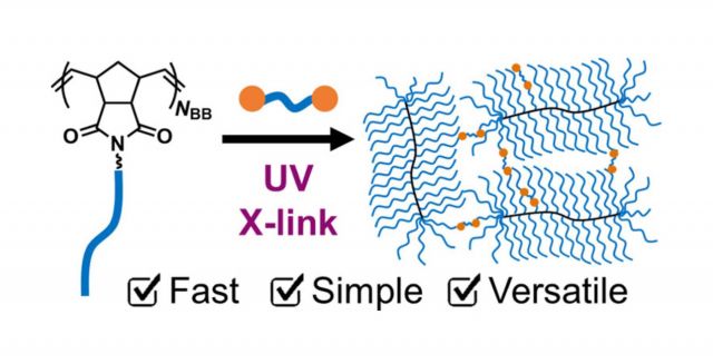 ToC from Universal Approach to Photo-Crosslink Bottlebrush Polymers