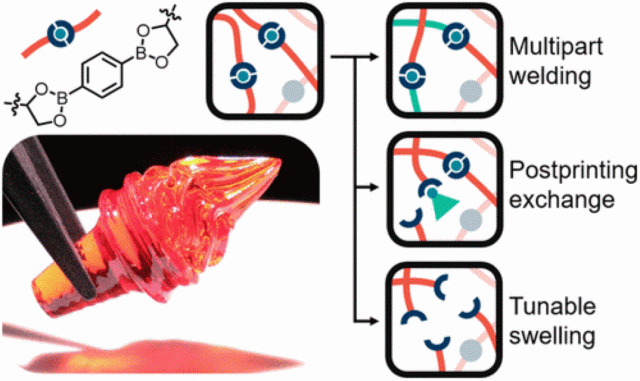 ToC from Chemical and Mechanical Tunability of 3D-Printed Dynamic Covalent Networks Based on Boronate Esters
