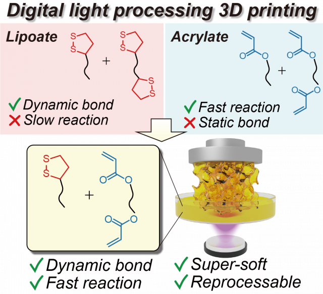 ToC from Digital Light Processing of Dynamic Bottlebrush Materials