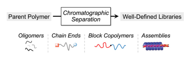 ToC of Chromatographic Separation: A Versatile Strategy to Prepare Discrete and Well-Defined Polymer Libraries