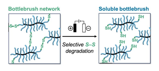ToC of Selective electrochemical degradation of bottlebrush elastomers