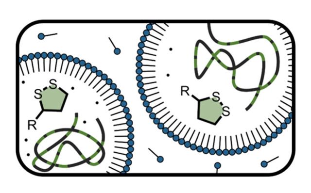 ToC of Scalable Synthesis of Degradable Copolymers Containing α-Lipoic Acid via Miniemulsion Polymerization