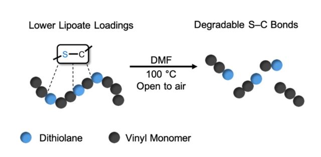 ToC of Enhanced Degradation of Vinyl Copolymers Based on Lipoic Acid