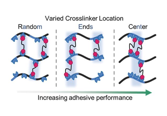 ToC of Cross-Link Location Influences Performance in Acrylic Pressure-Sensitive Adhesives